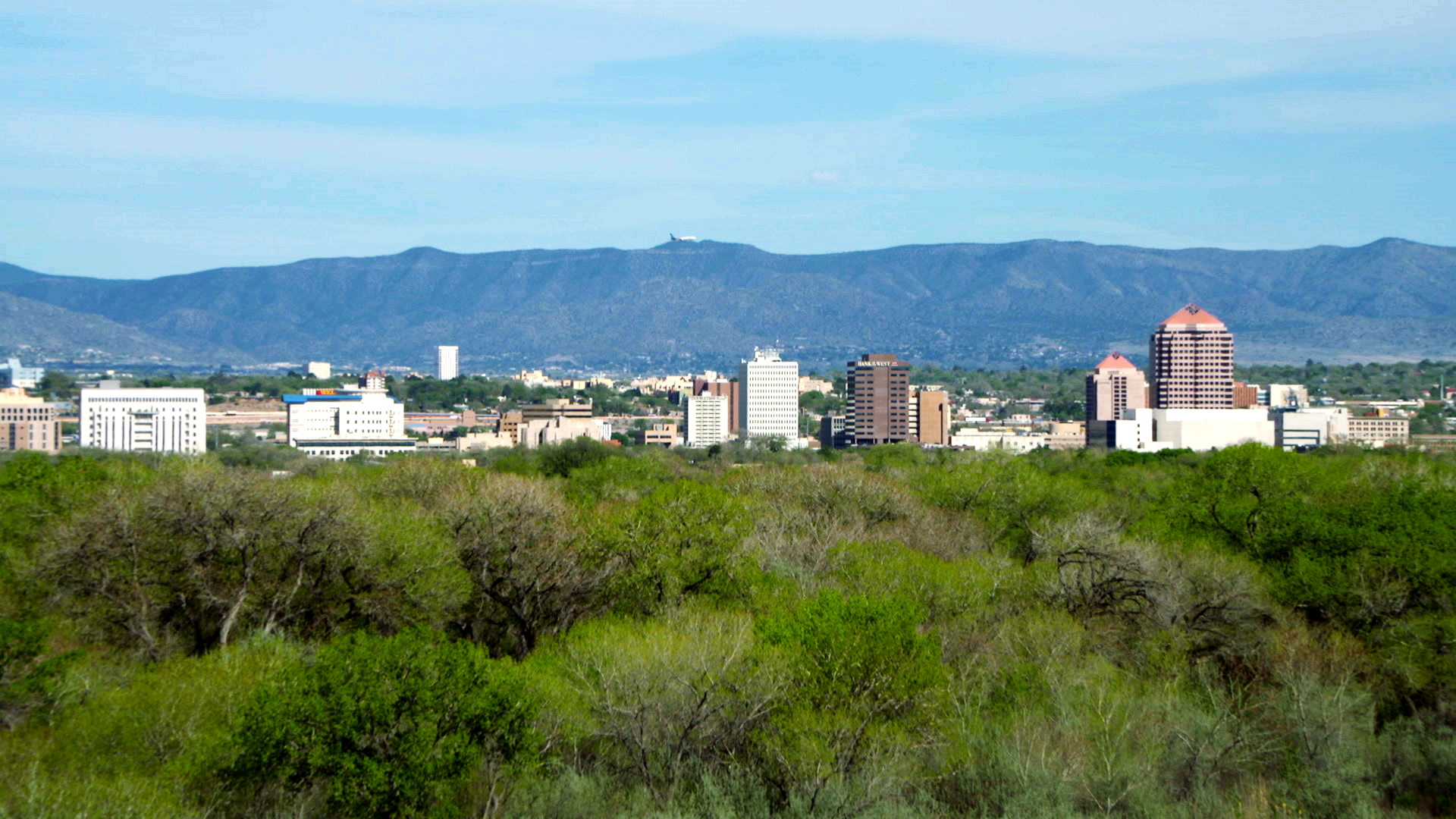 A cityscape with green trees in the foreground, tall buildings in the middle, and mountains in the background under a blue sky.