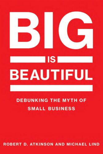 Big is Beautiful cover