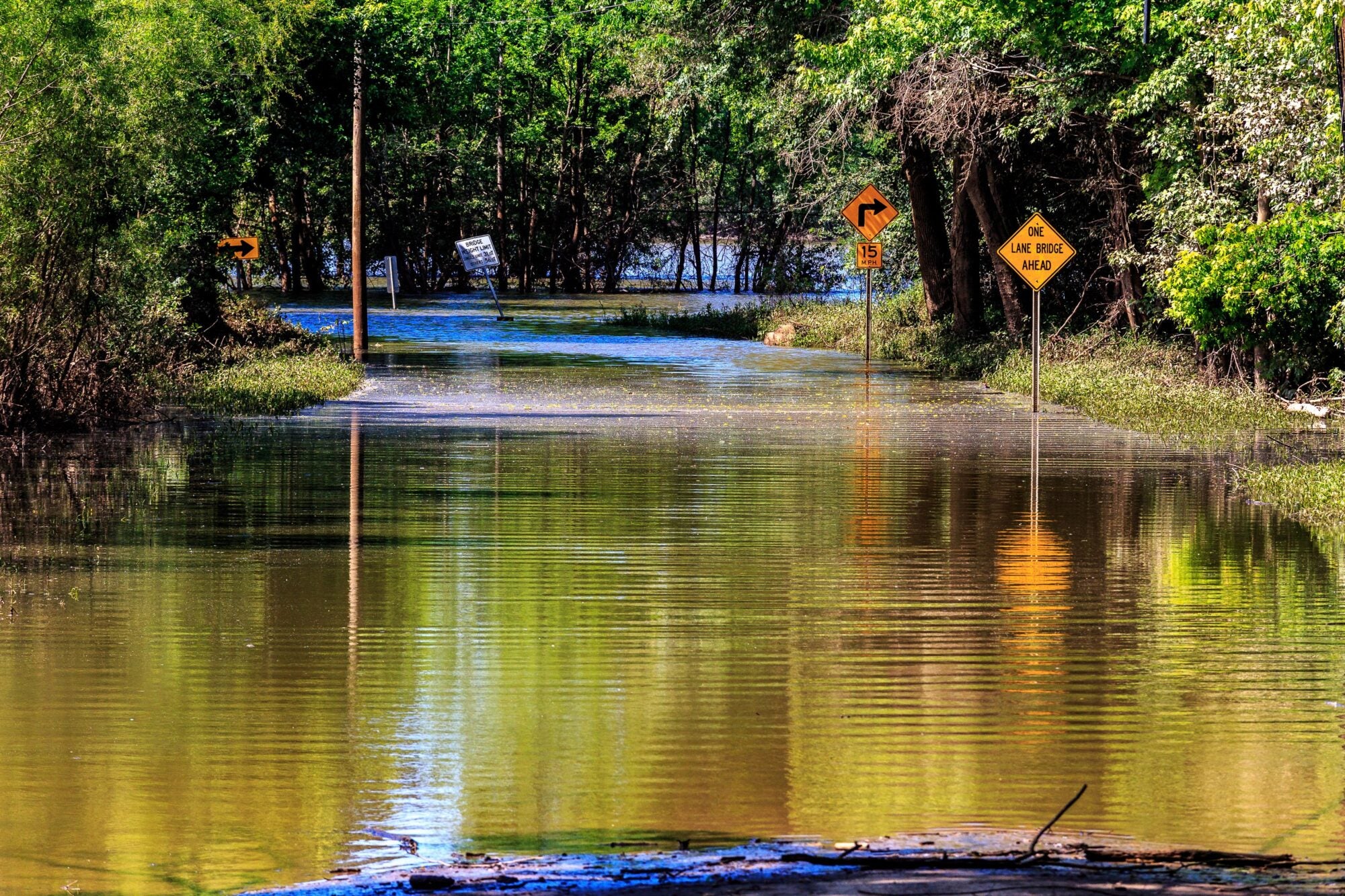 A flooded rural road with submerged road signs and dense greenery surrounding it.