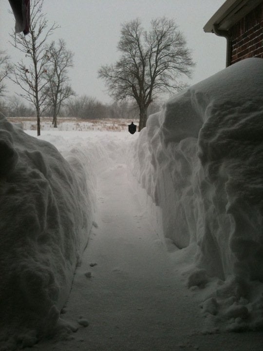 A narrow path cleared through deep snow with tall snowbanks and trees in the background on a gray winter day.
