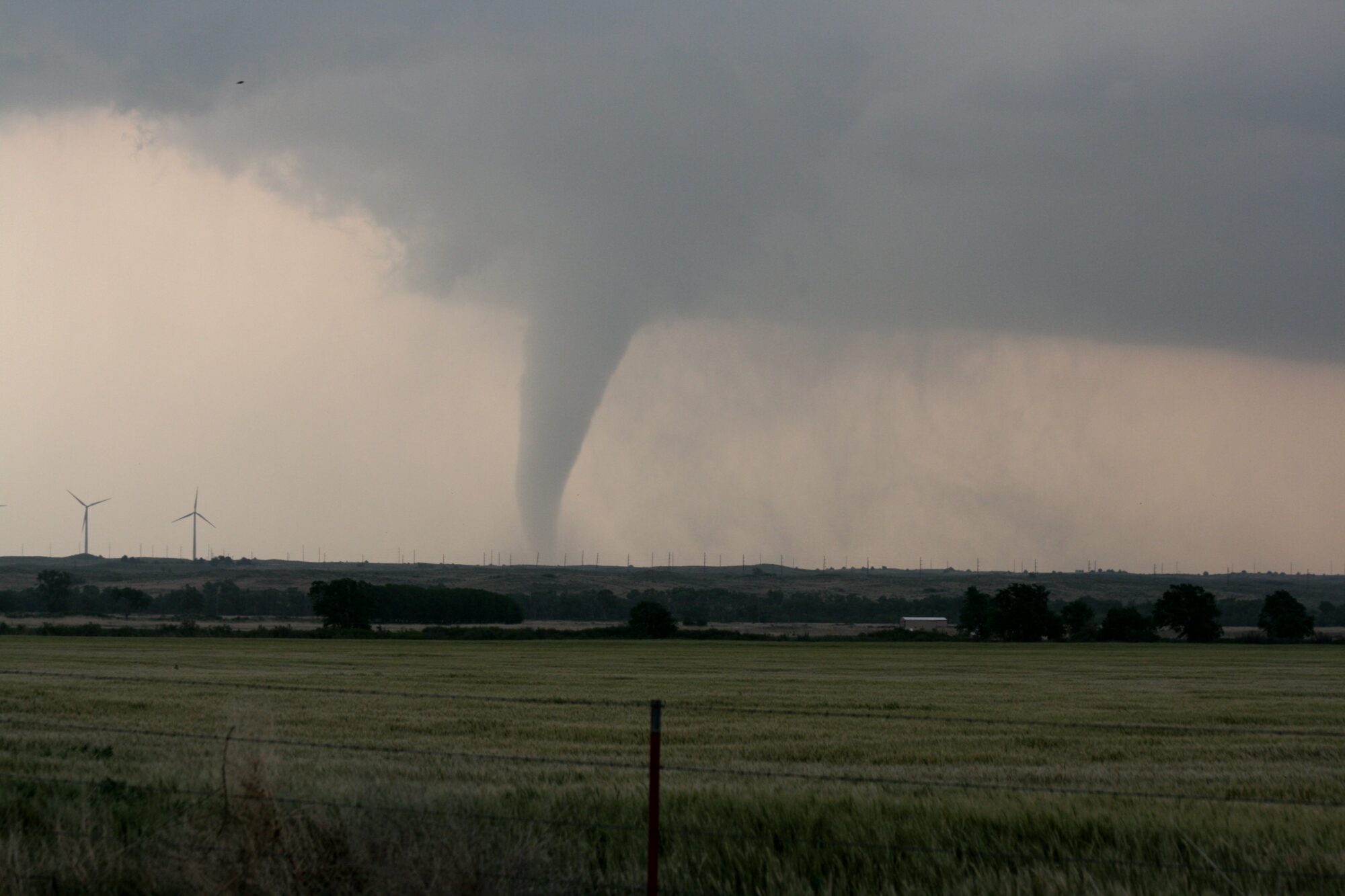Tornado touching down in a field with wind turbines in the background under a dark sky.