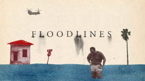 Floodlines cover