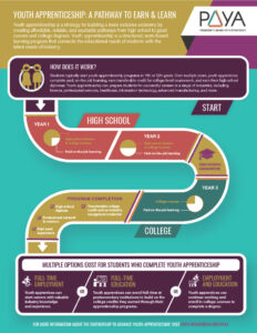 Infographic showing the path of a youth apprentice