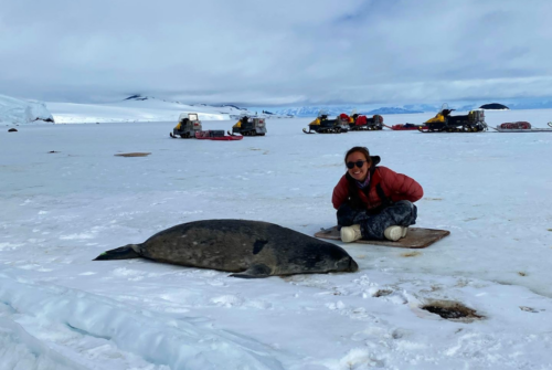 EmmaLi Tsai checks in on a seal pup.