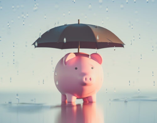A piggy bank under a black umbrella in the rain