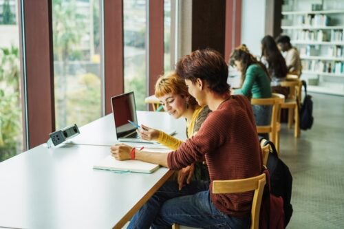 Two students sit inside a library, studying on their computers.