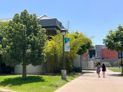 A community college campus with trees on the left side of the image and two students walking down a path on the right.